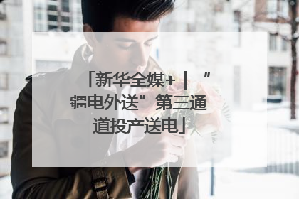 新华全媒+｜“疆电外送”第三通道投产送电
