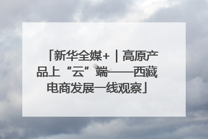 新华全媒+｜高原产品上“云”端——西藏电商发展一线观察