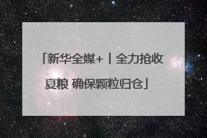 新华全媒+丨全力抢收夏粮 确保颗粒归仓
