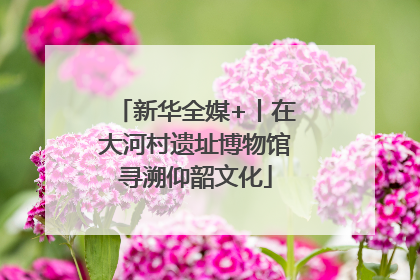 新华全媒+丨在大河村遗址博物馆寻溯仰韶文化