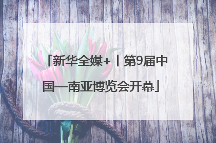 新华全媒+丨第9届中国—南亚博览会开幕