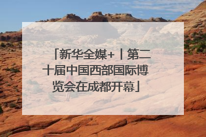 新华全媒+丨第二十届中国西部国际博览会在成都开幕