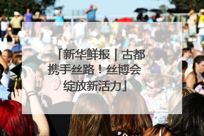 新华鲜报｜古都携手丝路！丝博会绽放新活力