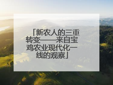 新农人的三重转变——来自宝鸡农业现代化一线的观察