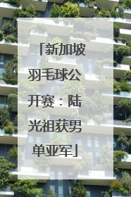 新加坡羽毛球公开赛：陆光祖获男单亚军