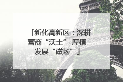 新化高新区：深耕营商“沃土” 厚植发展“磁场”