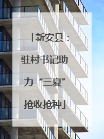 新安县：驻村书记助力“三夏”抢收抢种