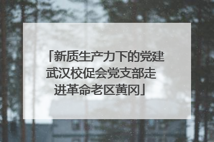新质生产力下的党建 武汉校促会党支部走进革命老区黄冈