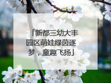 新都三幼大丰园区萌娃绿茵逐梦，童趣飞扬