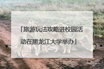 旅游玩法攻略进校园活动在黑龙江大学举办