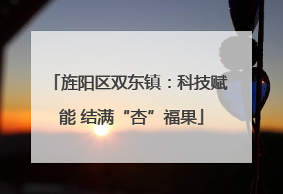 旌阳区双东镇：科技赋能 结满“杏”福果
