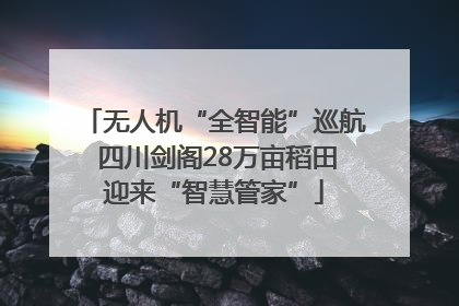 无人机“全智能”巡航 四川剑阁28万亩稻田迎来“智慧管家”