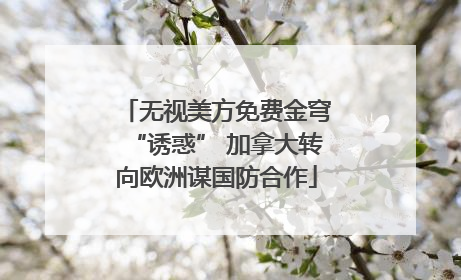 无视美方免费金穹“诱惑” 加拿大转向欧洲谋国防合作