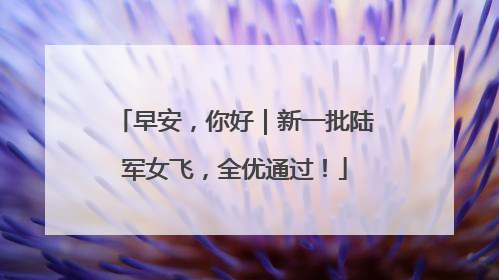 早安，你好｜新一批陆军女飞，全优通过！