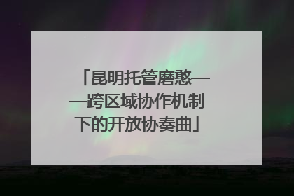 昆明托管磨憨——跨区域协作机制下的开放协奏曲