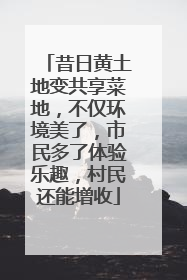 昔日黄土地变共享菜地，不仅环境美了，市民多了体验乐趣，村民还能增收