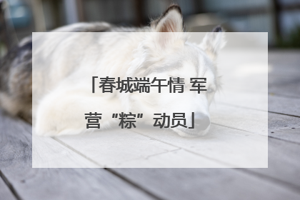 春城端午情 军营“粽”动员