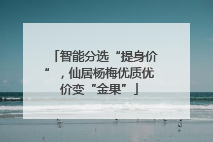 智能分选“提身价”，仙居杨梅优质优价变“金果”