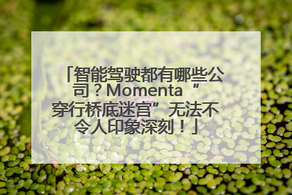 智能驾驶都有哪些公司？Momenta“穿行桥底迷宫”无法不令人印象深刻！