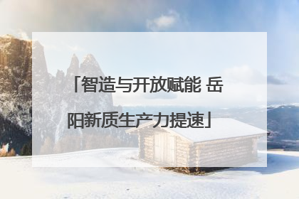 智造与开放赋能 岳阳新质生产力提速