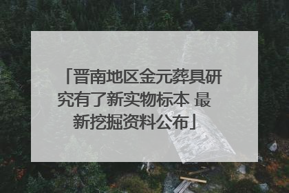 晋南地区金元葬具研究有了新实物标本 最新挖掘资料公布