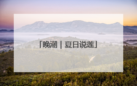 晚潮｜夏日说莲