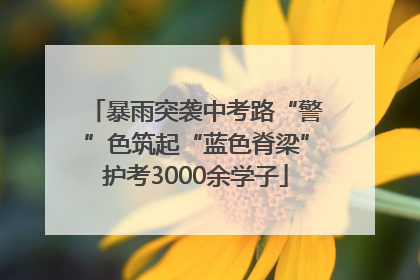暴雨突袭中考路“警”色筑起“蓝色脊梁”护考3000余学子