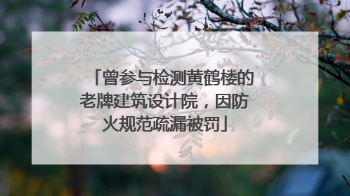 曾参与检测黄鹤楼的老牌建筑设计院，因防火规范疏漏被罚