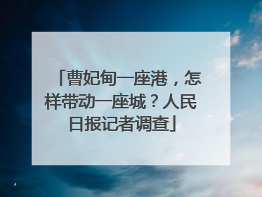 曹妃甸一座港，怎样带动一座城？人民日报记者调查