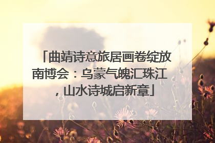 曲靖诗意旅居画卷绽放南博会：乌蒙气魄汇珠江，山水诗城启新章