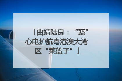 曲靖陆良：“蔬”心电护航粤港澳大湾区“菜篮子”