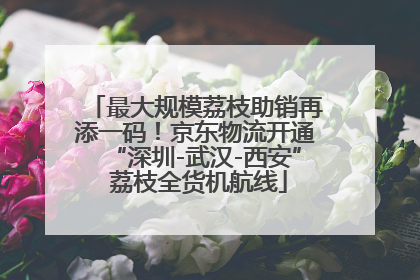 最大规模荔枝助销再添一码！京东物流开通“深圳-武汉-西安” 荔枝全货机航线