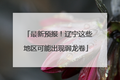 最新预报！辽宁这些地区可能出现弱龙卷
