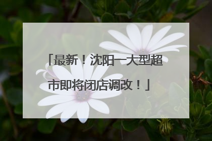 最新！沈阳一大型超市即将闭店调改！