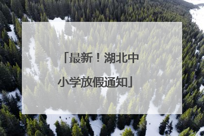 最新！湖北中小学放假通知