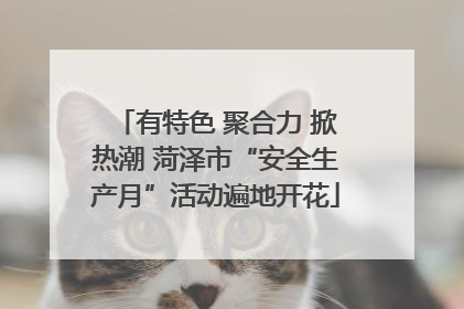 有特色 聚合力 掀热潮 菏泽市“安全生产月”活动遍地开花
