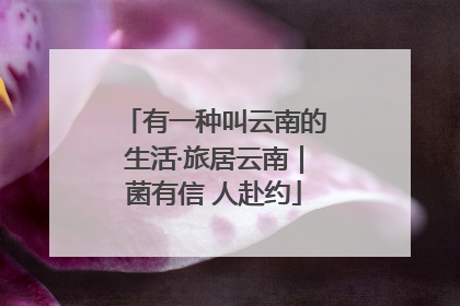 有一种叫云南的生活·旅居云南｜菌有信 人赴约