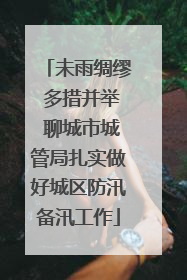 未雨绸缪 多措并举 聊城市城管局扎实做好城区防汛备汛工作