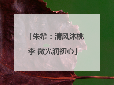 朱希：清风沐桃李 微光润初心