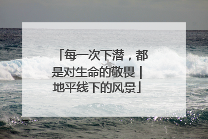 每一次下潜，都是对生命的敬畏｜地平线下的风景