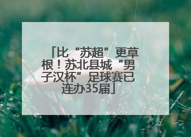 比“苏超”更草根！苏北县城“男子汉杯”足球赛已连办35届