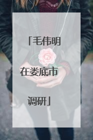 毛伟明在娄底市调研