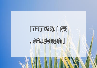 正厅级陈白薇，新职务明确