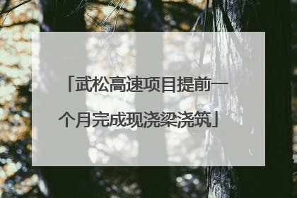 武松高速项目提前一个月完成现浇梁浇筑