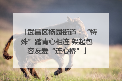武昌区杨园街道：“特殊”踏青心相连 架起包容友爱“连心桥”
