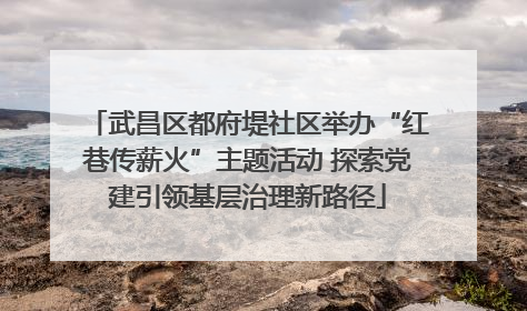武昌区都府堤社区举办“红巷传薪火”主题活动 探索党建引领基层治理新路径