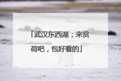 武汉东西湖：来赏荷吧，包好看的