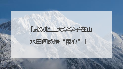 武汉轻工大学学子在山水田间感悟“粮心”