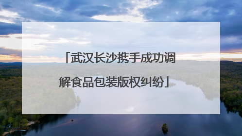 武汉长沙携手成功调解食品包装版权纠纷