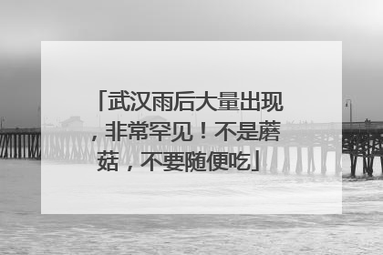 武汉雨后大量出现，非常罕见！不是蘑菇，不要随便吃